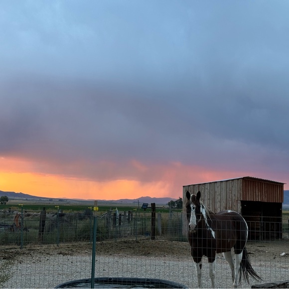 1-99 LIVE SHOW’S FRIDAYS 2-9PM MST! SUNDAYS 1PM-9PM MST! - Picture 7 of 13